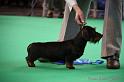 Crufts2011_2 1411